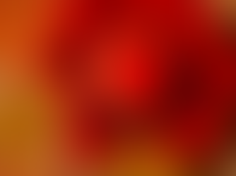 El lugar donde el amor se convierte en recuerdos: celebra tu aniversario en Viva La Vida