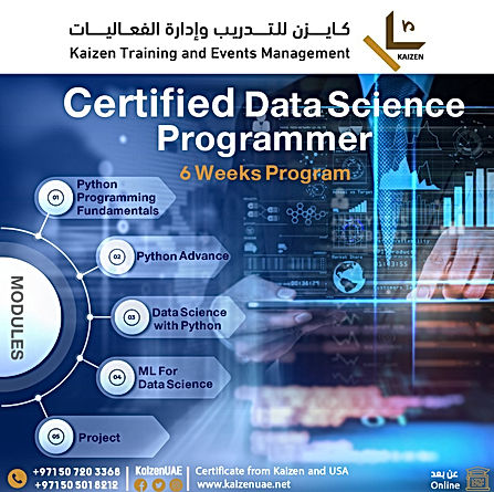 Data Science Programmer.jpeg