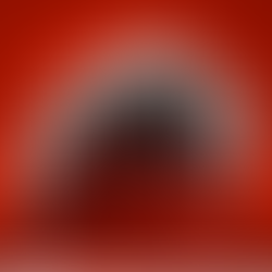 ¿Tu cliente usa los 5 sentidos en tu negocio de retail?