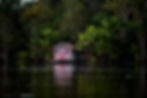Rio Amazonas - Anajás - PA