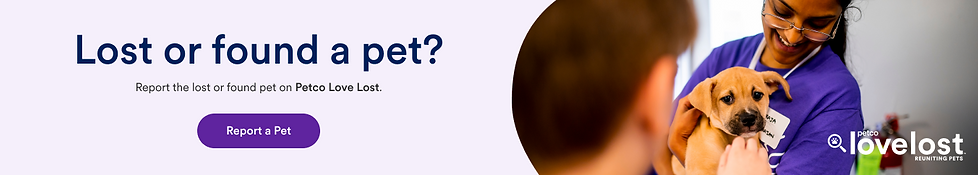 Banner-Lost or Found-1360x242.png