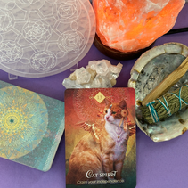 Oracle Energetic Theme for August