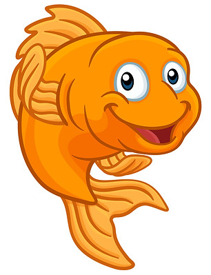iStock-1188195584.jpg