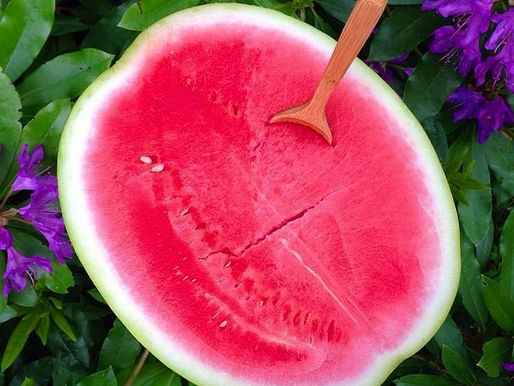 Watermelon Goodness🍉