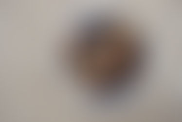 Toasted Pecan, Hazelnut & Oat Blueberry Crunch