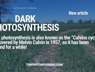 Dark Photosynthesis