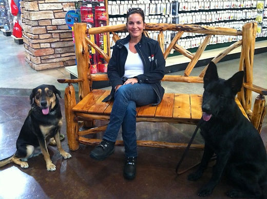 Smart Dog obedience training programs in Southeastern Michigan.
