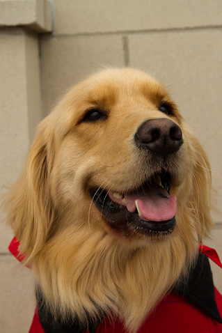 (Lea) was always smiling and willing to help
