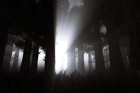 depositphotos_15854873-stock-photo-supernatural-scene-in-dark-deep.jpeg