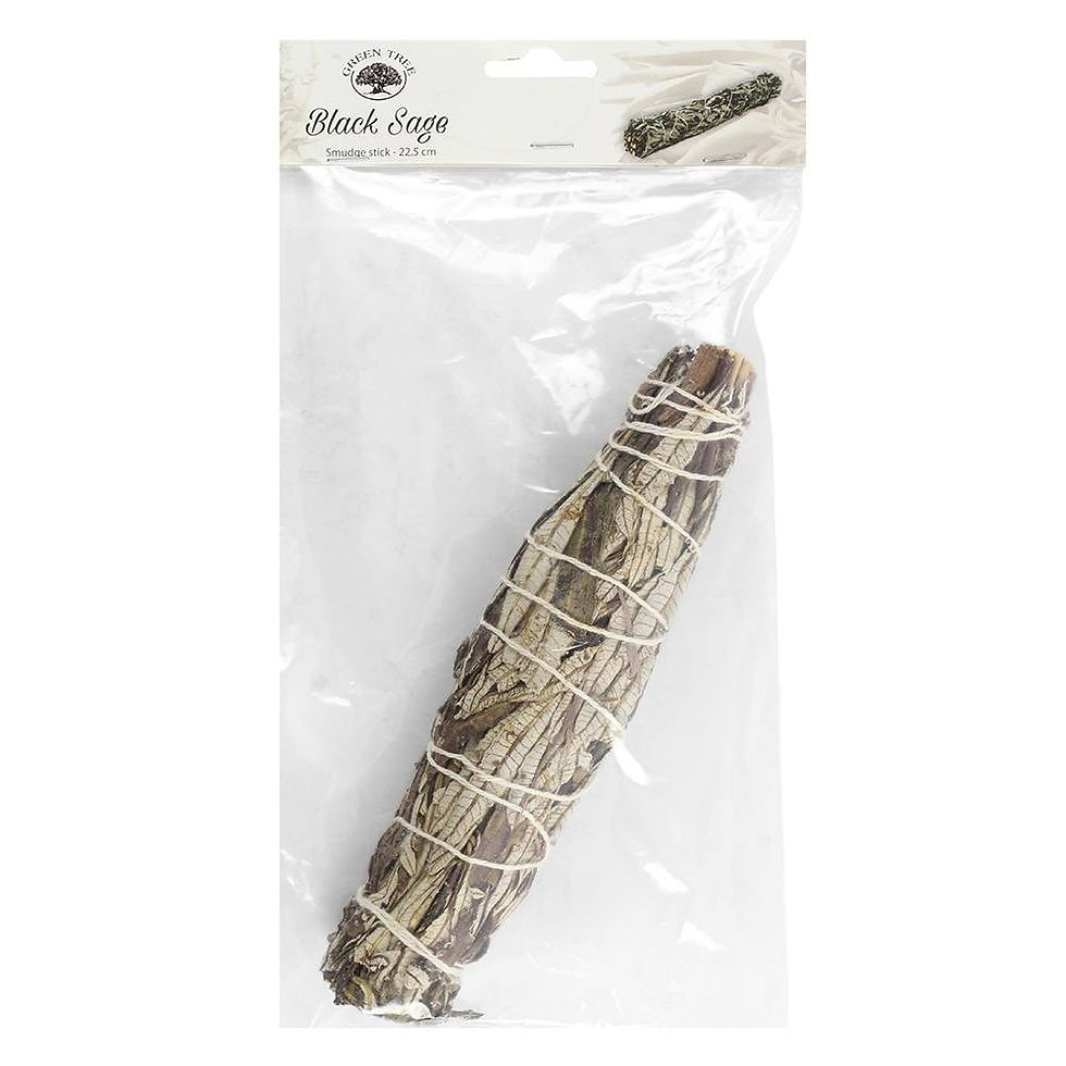 Grande Sauge noire 22.5cm