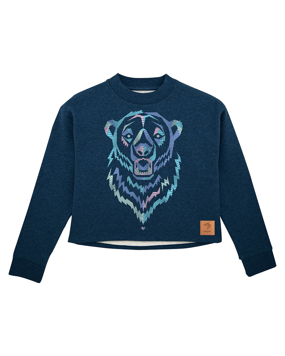 Miniaturbild: Bio Sweatshirt Pullover Polar Bear