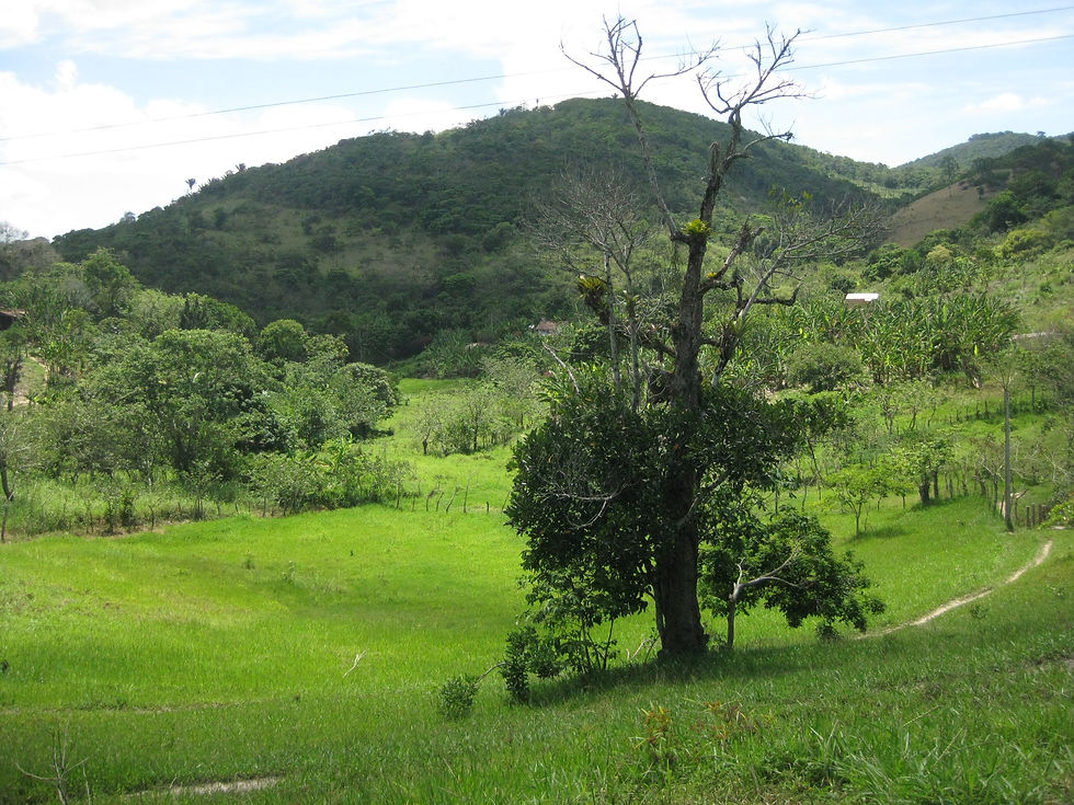 Vista do Eco Camping