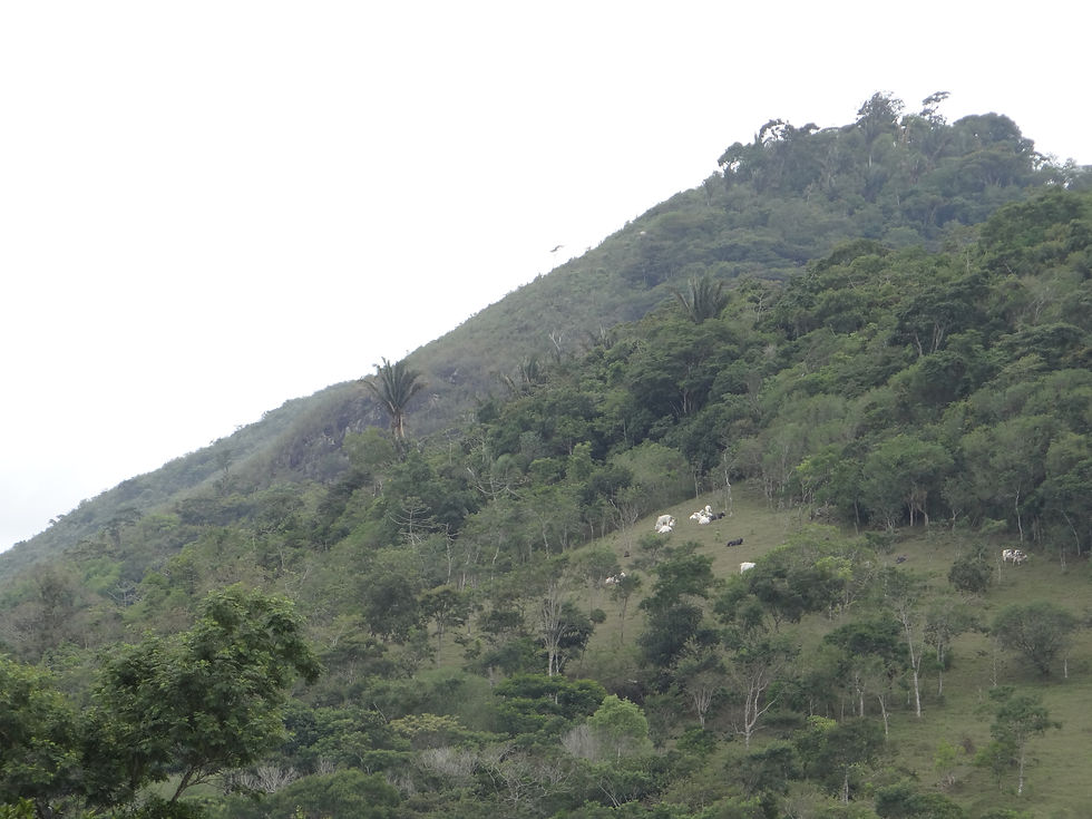 Morro da Lagoa do Amor