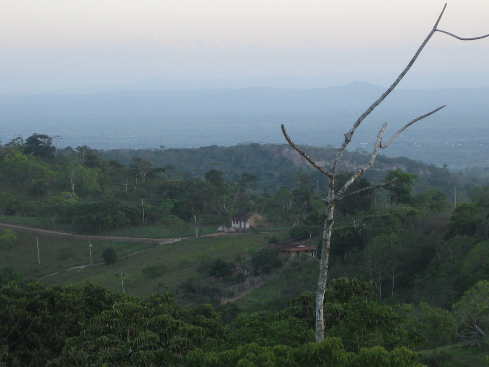 Platô da Guariba