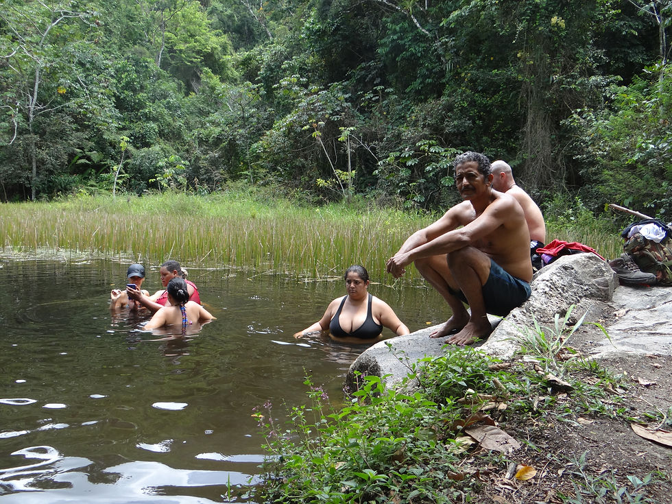 Banho da Mata