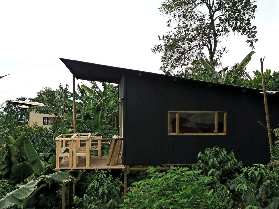 Panel SIP con núcleo EPS + OSB instalado por INNOVA SIP en Colombia – construcción eficien