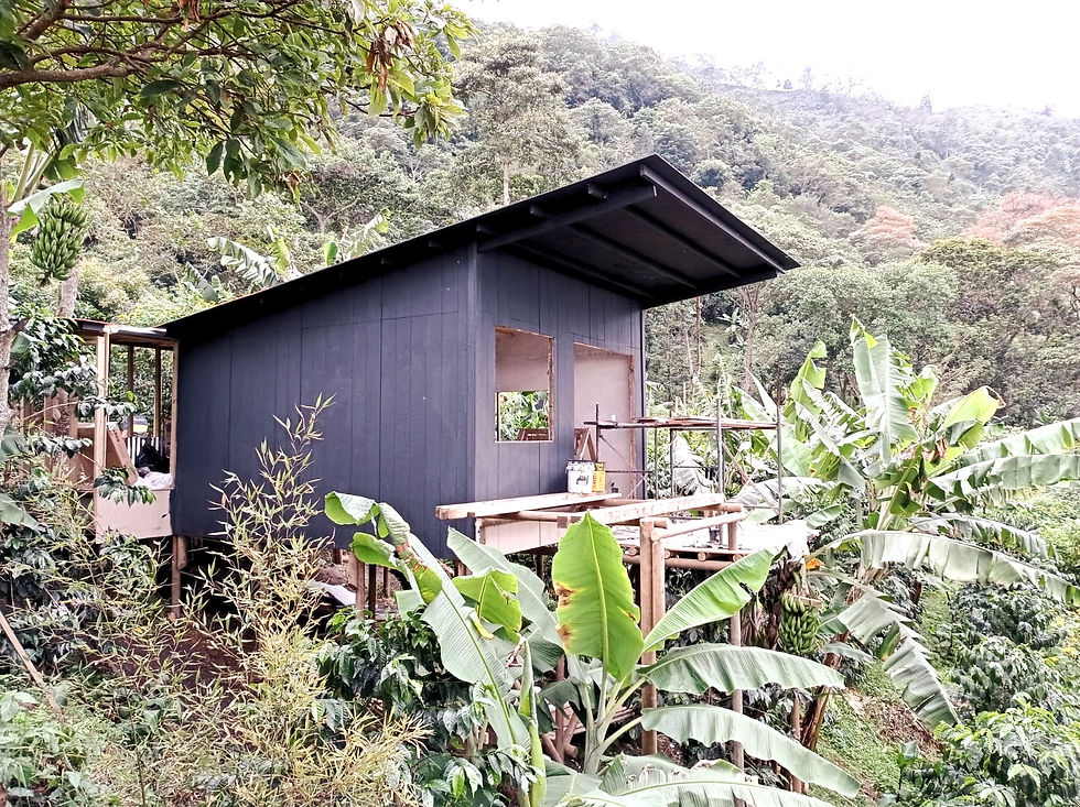 Panel SIP con núcleo EPS + OSB instalado por INNOVA SIP en Colombia – construcción eficien