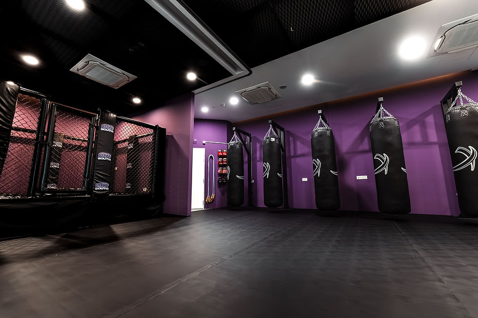 Onyx South Striking & Grappling