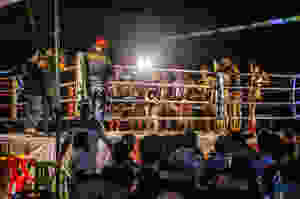 Fighters introduction.