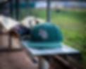 cap and glove.jpg