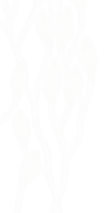 Career Vines_Parttern Left Aligned Semi Transparent Light.png