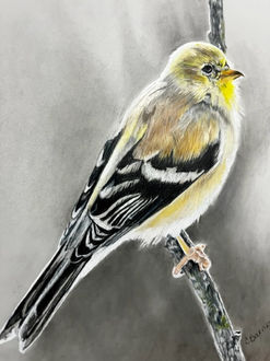 A colorful drawing of a bright yellow bird perched on a small branch.