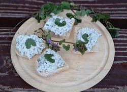 20220412_201841_edited