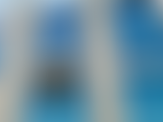 Wake County Government Building