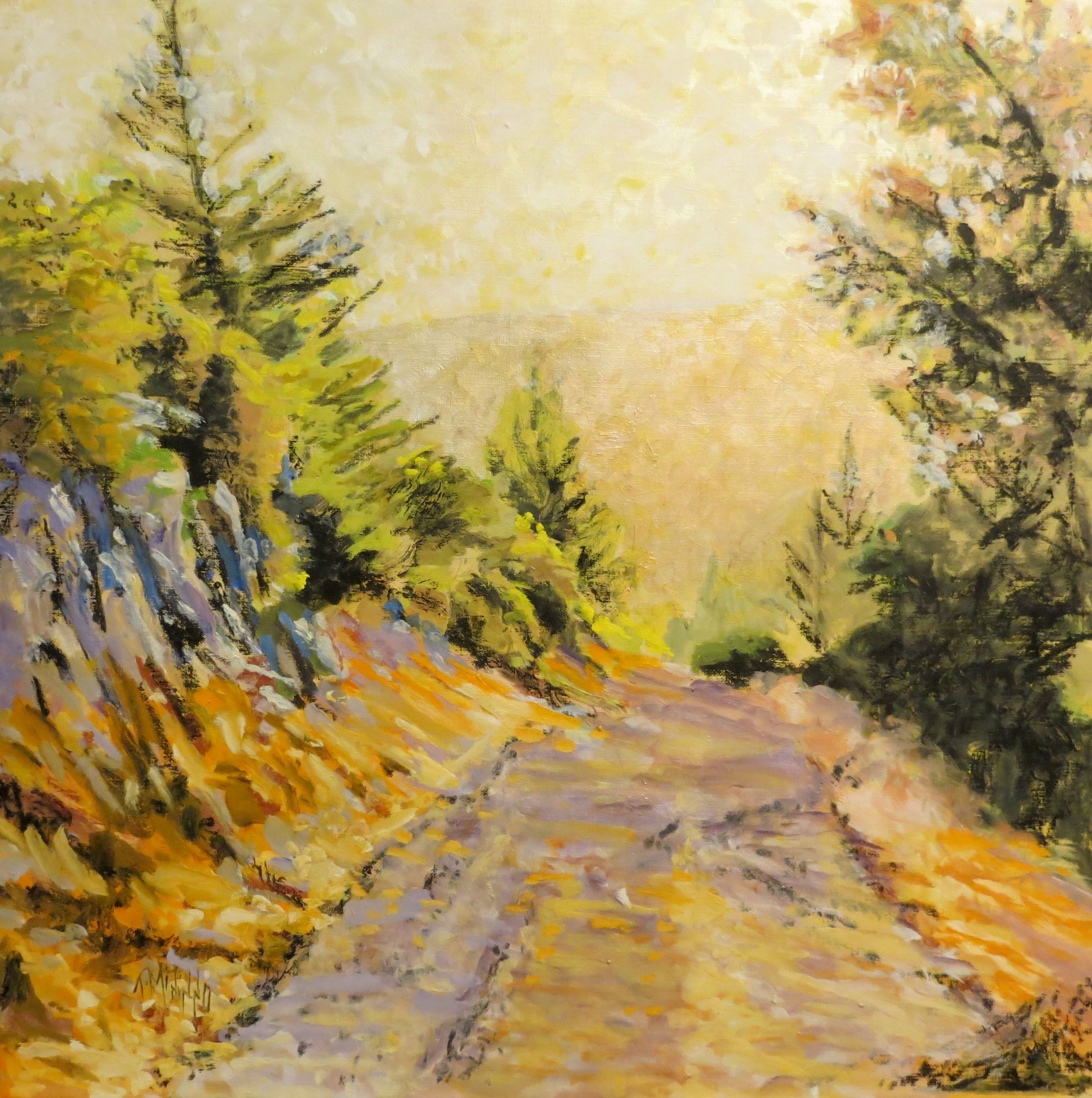 'Golden Trail' - 2016