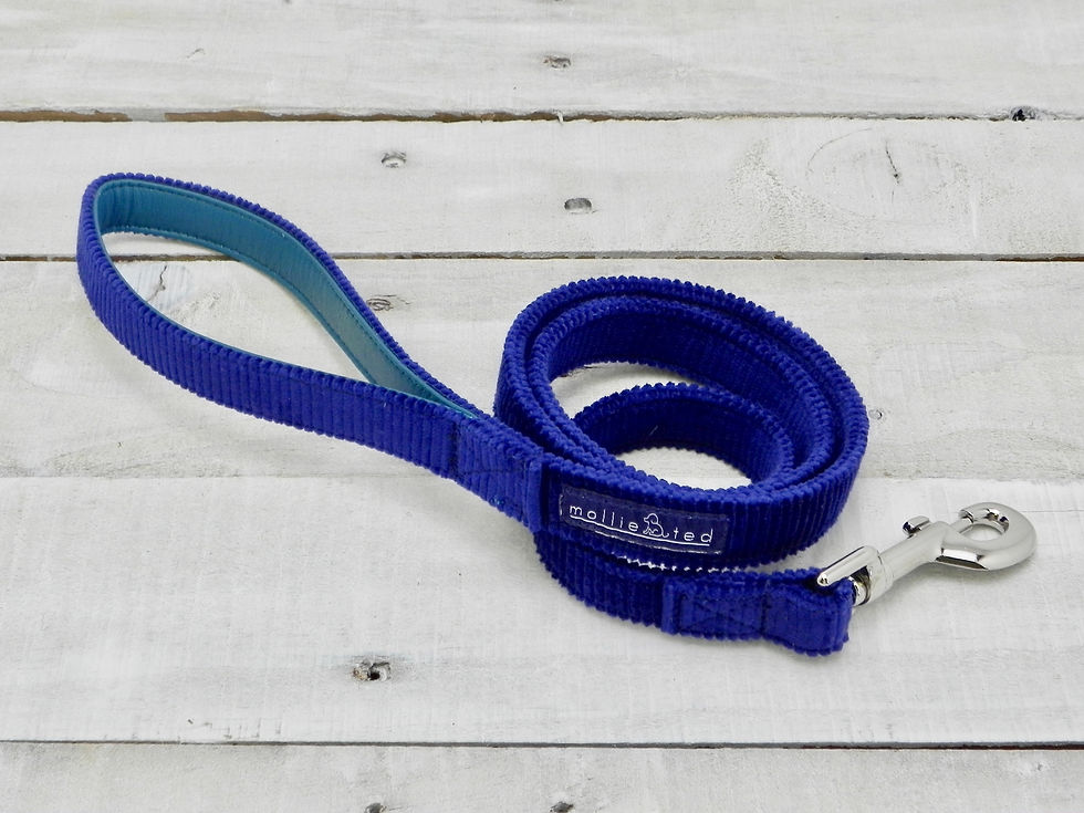 Hebden Corduroy lead - with contrast leather