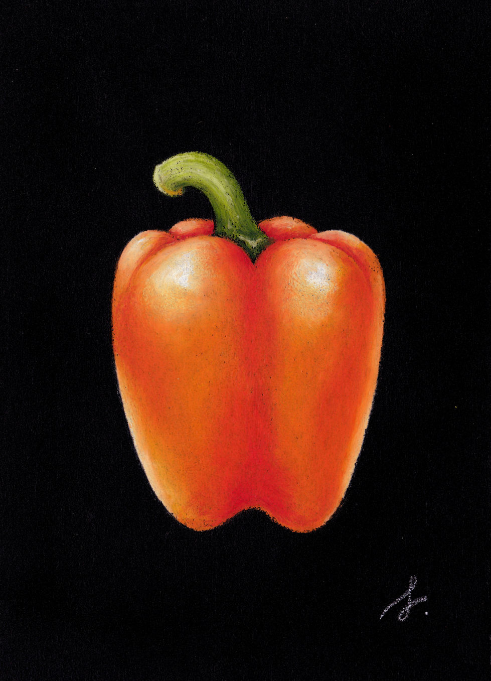 paprika-red-chalkart.jpeg