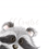 Thumbnail: Raccoon Woodland Animal Art Print