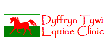 Dyffryn Tywi Equine Clinic logo