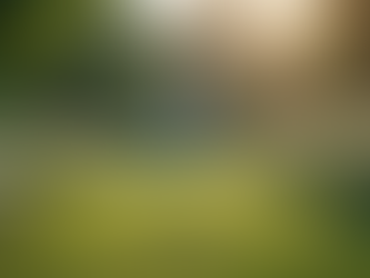 Ways to Celebrate Life: Memorial Foundation Initiatives