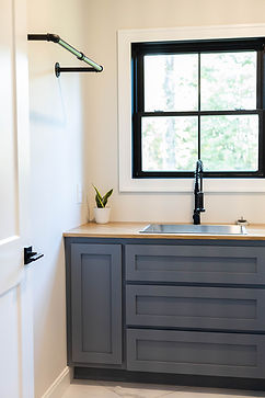 Sink with a snake plant on the counter