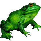 grenouille (60).gif