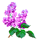 fleurs161.gif
