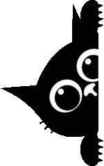 chat noir de côté.gif