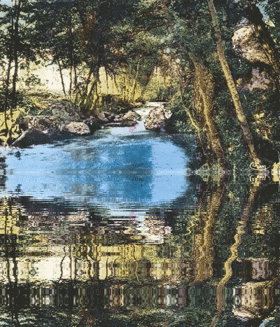 environs flash 40.gif