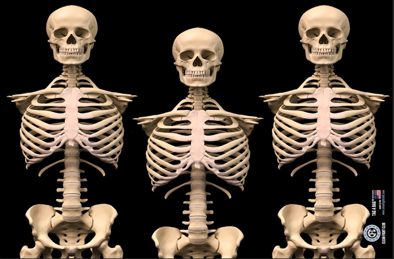 MEDIUM Mr. Bones