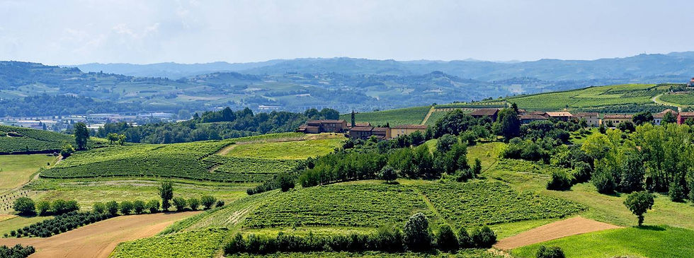 monferrato1200-175115.jpg