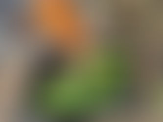 生きる力を育てる…『原体験』💥