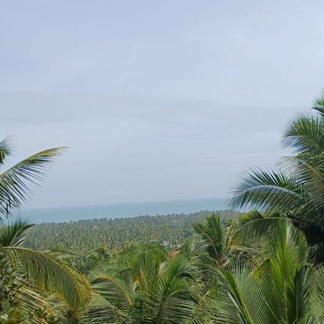 Panorama del Kerala