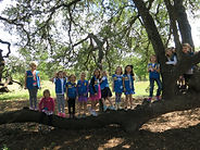 Wildflower Center Fall 2018.jpg