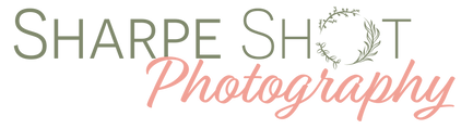 SS Logo_1 color.png