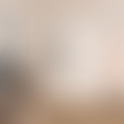 Il Feng Shui: l’antica arte orientale dell’abitare in armonia con l’energia dell’universo