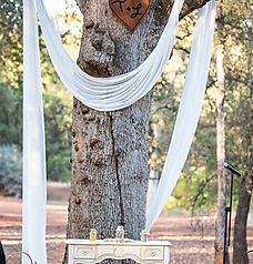 Sheer Draping (60"x 216") $8