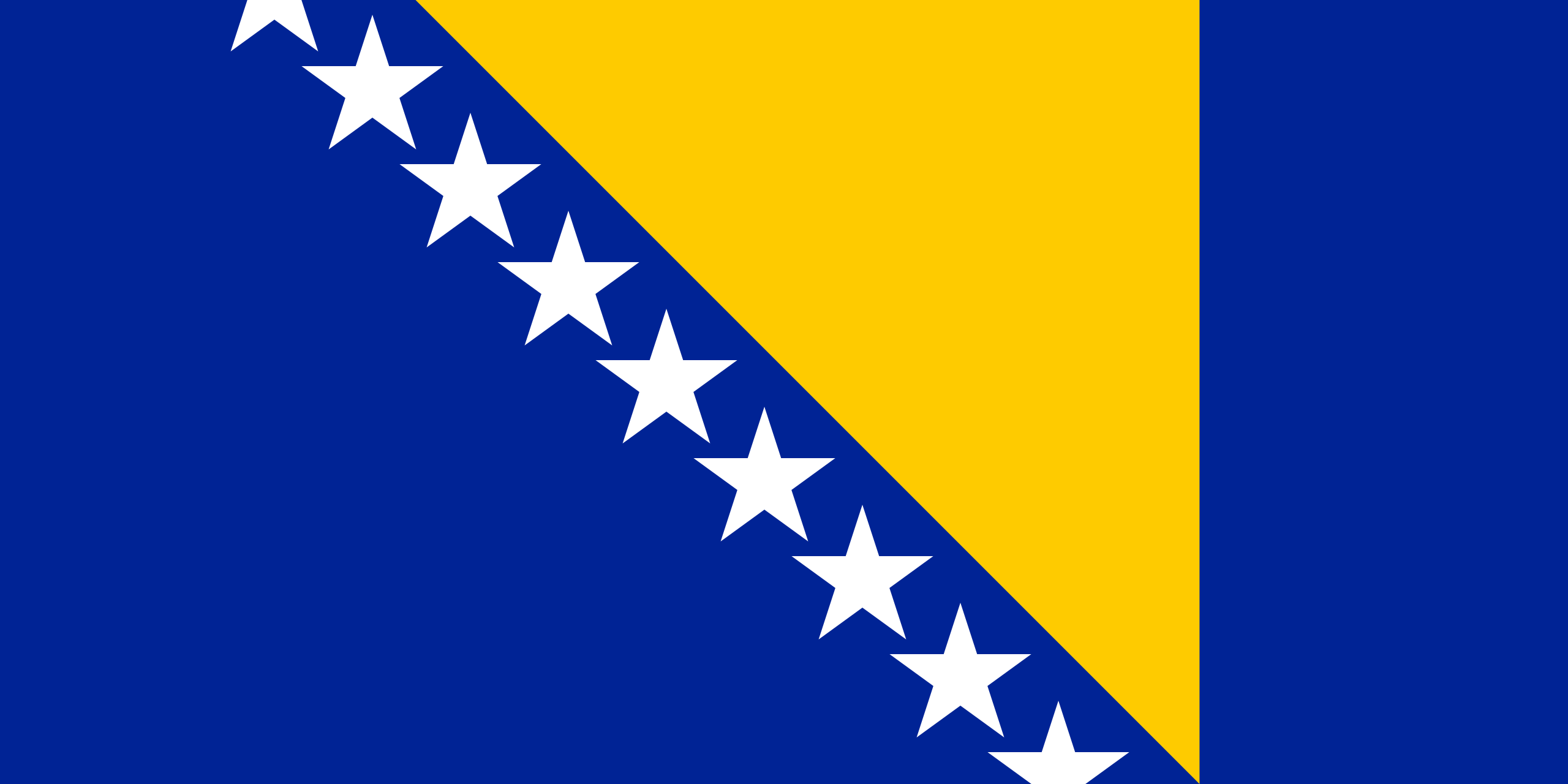 Flag_of_Bosnia_and_Herzegovina.svg.webp