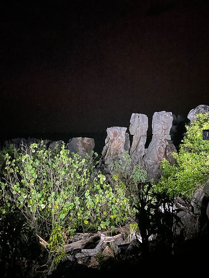 Les tsingys de nuit