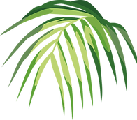 Tropical Leaf